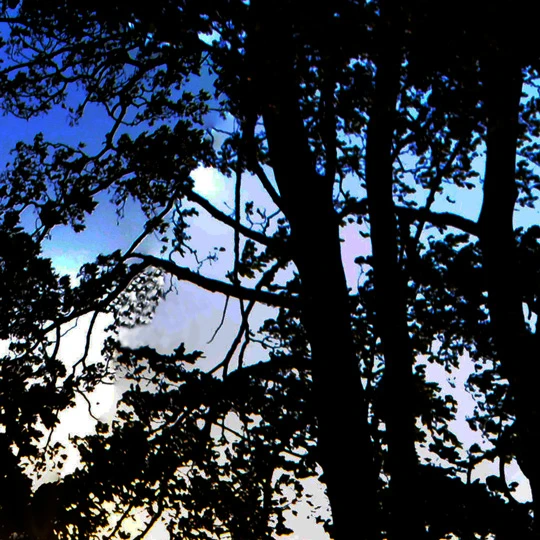 Photography gallery image: Silhouette